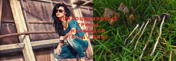 бошки Алексеевка