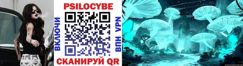 Псилоцибиновые грибы Psilocybe  Дмитров 
