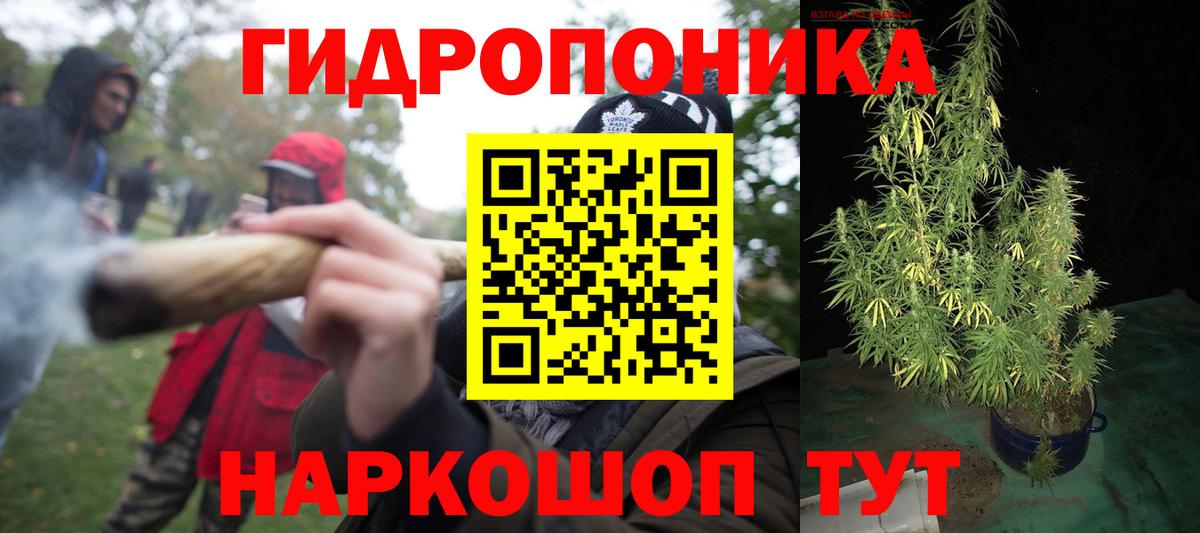 Бошки марихуана Bruce Banner  Шишки марихуана гибрид  Вход с VPN  Дмитров 